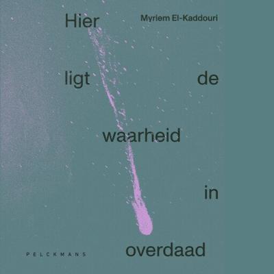 Hier ligt de waarheid in overdaad