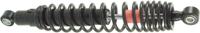RMS Shock absorber rear