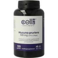Cellcare Mucuna pruriens 500mg (25% L-dopa)