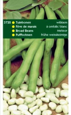 Tuinbonen Witkiem 250 gram - Tuinplus