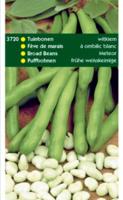 Tuinbonen Witkiem 250 gram - Tuinplus