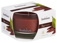 Bolsius True Scents geurglas 63/90 old wood