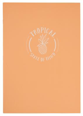 HEMA Schriften A4 gelinieerd - 2 stuks