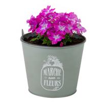 Plantenpot/bloempot voor buiten - zink - jadegroen - D17 x H14 cm