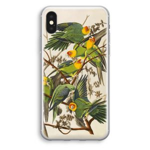 Carolinaparkiet: iPhone XS Transparant Hoesje