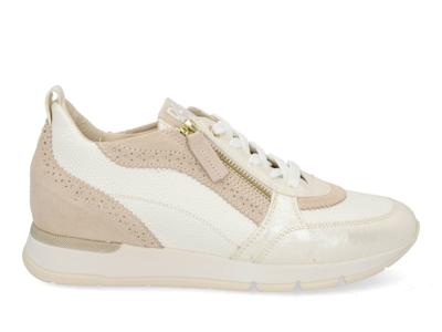 DL Sport 6931 vers 04 bianco Wit maat 37