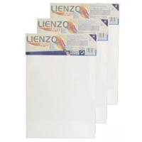 Gerimport Schilderdoek - 5x stuks - 30 x 20 cm - blanco canvas - rechthoekig - houten frame