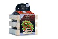 Baza garden box sappige aardbei