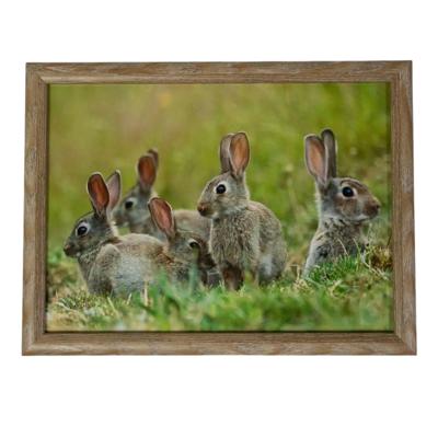 Mars & More Schootkussen Laptray - konijnen print - 43 x 33 cm