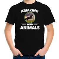 T-shirt paarden amazing wild animals / dieren zwart voor kinderen XL (158-164)  - - thumbnail