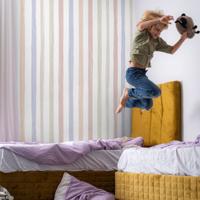 Behang Delicate Stripes Rol Multi Perzik