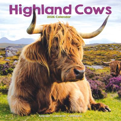 Schotse Hooglanders Kalender 2026