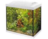 Superfish Start 30 Tropical Kit Wit - Compleet Aquarium Set 25L met LED Verlichting