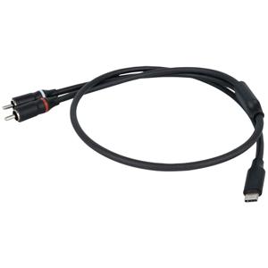 DAP FL110 verloopkabel USB-C naar 2x RCA male 150cm