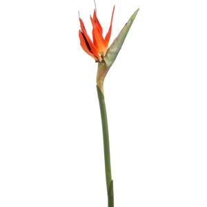 Kunstbloem Strelitzia - 85 cm - losse tak - kunst zijdebloem - Paradijsvogelplant - decoratie