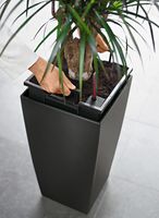 LECHUZA CUBICO 40 All-in-One Set Plantenpot Vrijstaand Polypropyleen (PP) Zwart Binnen - thumbnail