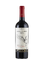 Miguel Torres Andica Cabernet Sauvignon gran reserva | Rode wijn | Chili | Valle Del Itata