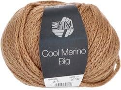 Lana Grossa Cool Merino Big 216