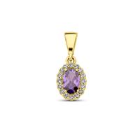 14K Geelgouden Hanger met Februari Geboortesteen Zirkonia - 16mm