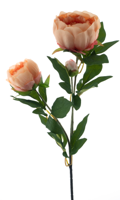 (Best) Paeony spray Chiba peach 65 cm kunstbloem - Nova nature