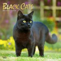 Zwarte Katten Kalender 2026