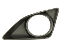 Ventilatiegrille, bumper 6502078116921P