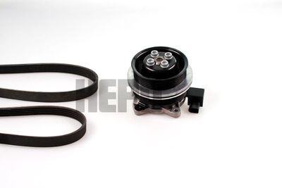 Waterpomp + multiriemset PK06510