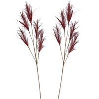 Pluimgras losse steel/tak - 2x - meerdere stengels - bordeaux rood - 98 cm - Decoratie pluimen