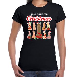 Foute kersttrui/t-shirt voor dames - All I want for Christmas - piemels - zwart