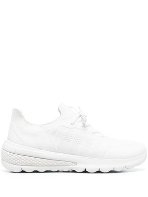 Geox baskets Spherica - Blanc