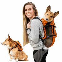 Multifunctionele Hondenrugzak Walk On Oranje