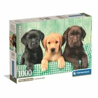Puzzel Clementoni 1000 Onderdelen