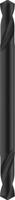 Bosch Accessoires Dubbele eindboor 4 x 14 x 55 mm 10st - 2608597588