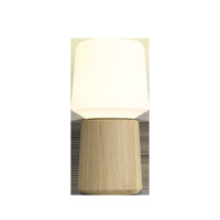 Ambience - Lamp Intelligent & Oslo base