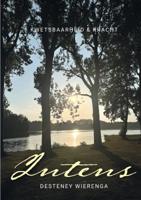 Intens (Paperback)
