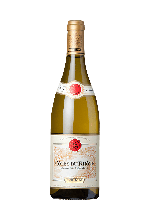 E. Guigal Côtes Du Rhône Blanc | Witte wijn | Frankrijk | Gratis verzending v.a. 6 flessen