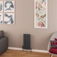 Eastbrook Withington radiator 30x60cm aluminium 305W antraciet - thumbnail