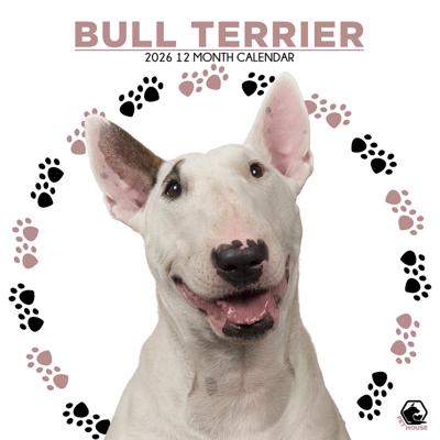 Bull Terrier Kalender 2026