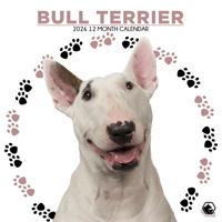 Bull Terrier Kalender 2026