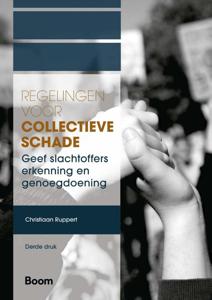 Regelingen voor collectieve schade (Paperback)