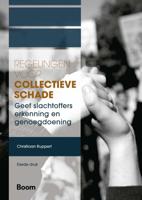 Regelingen voor collectieve schade (Paperback)