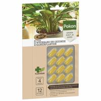 Pokon Bio Kuur Voor Weerbare en Gezonde Kamerplanten Capsules