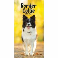 Border Collies Slim Agenda 2026