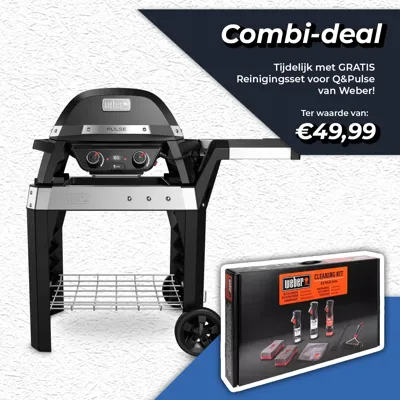 Weber Pulse 2000 met Stand