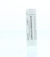 Homeoden Heel Carduus marianus D6 6 Gram