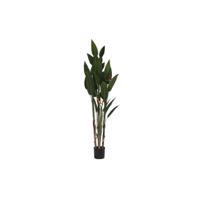 Decoratieve plant DKD Home Decor (90 x 90 x 200 cm)