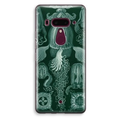 Haeckel Cubomedusae: HTC U12+ Transparant Hoesje
