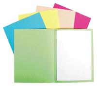 Vouwmap exacompta forever a4 170gr assorti