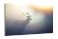 Karo-art Schilderij -Hert in de mist, 100x70cm. Premium print