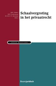 Schaalvergroting in het Privaatrecht (Paperback)